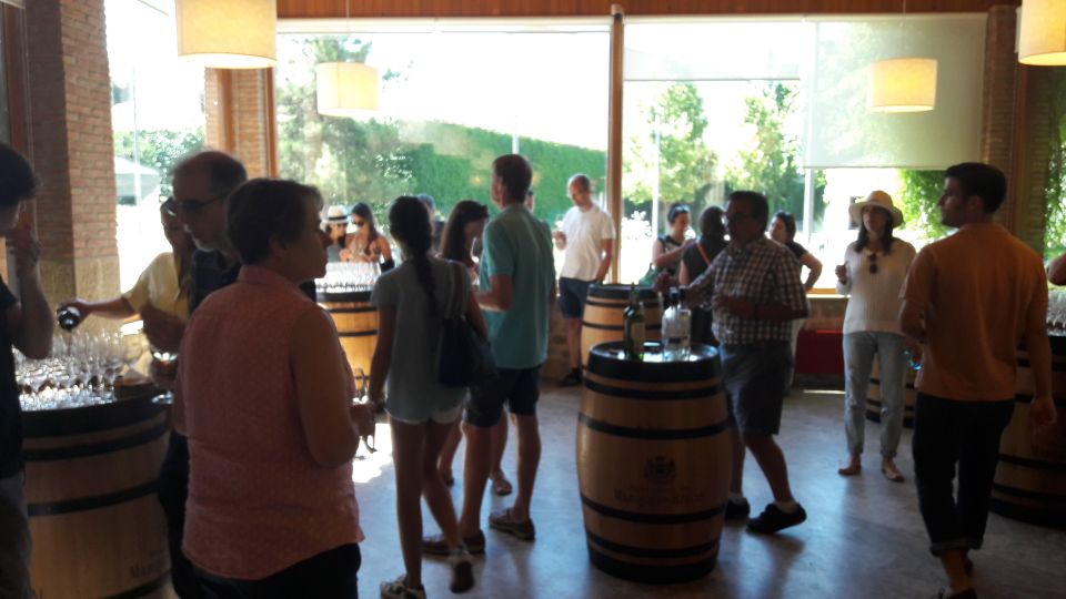Rioja: Private Wine Tasting Tour - Laguardia and Local Cuisine