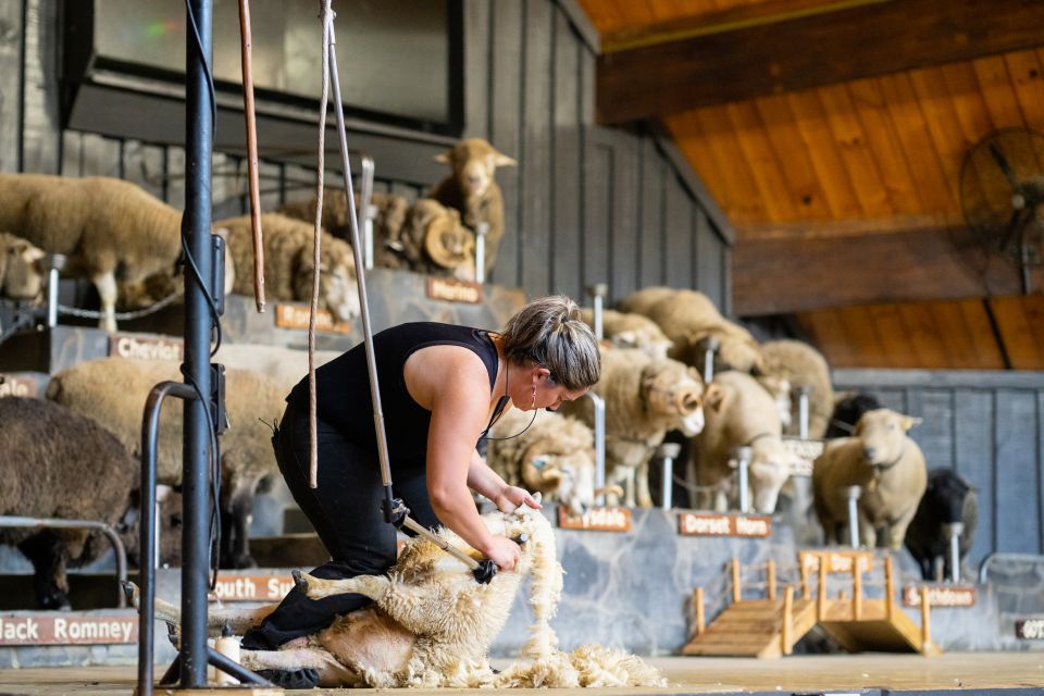 Rotorua: Agrodome Farm Tour With Show and Produce Tasting - Common questions