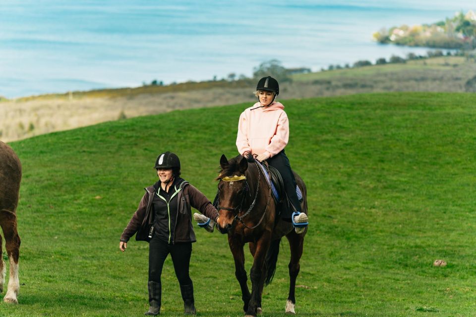 Rotorua: Guided Horseback Riding Day Trip on Mt. Ngongotaha - Last Words