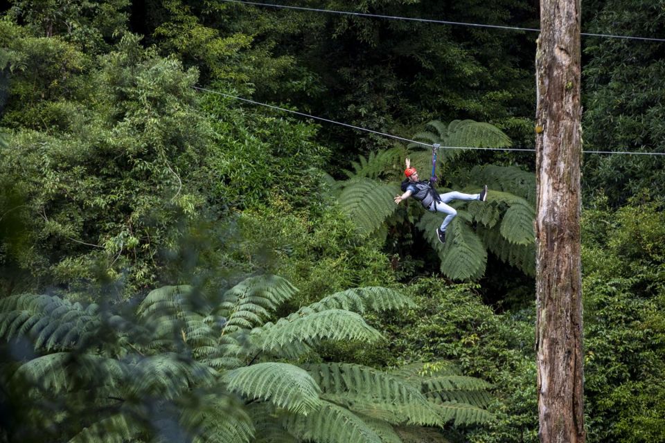 Rotorua: Guided Zipline Adventure Tour With Photos - Conservation Efforts