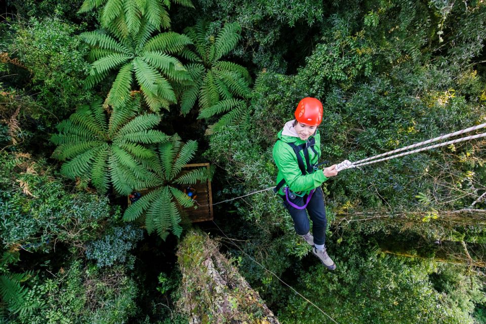 Rotorua: Ultimate Guided Zipline Tour W/ Volcanic Cliff Walk - Conservation Efforts