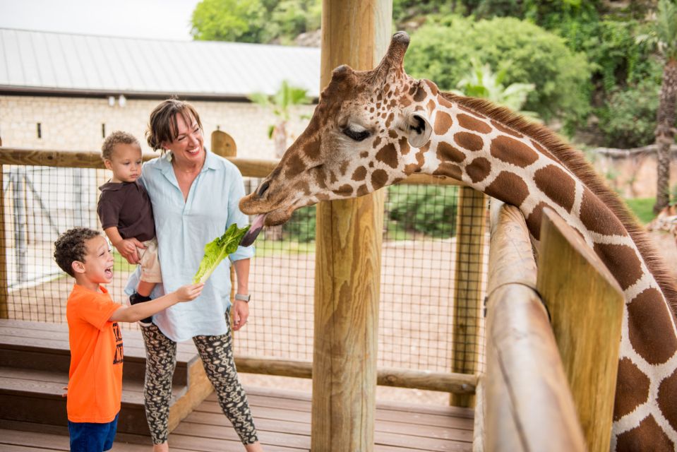 San Antonio: San Antonio Zoo Any Day Ticket - Zoo Experience