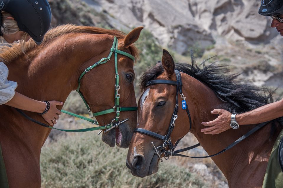 Santorini: Horse Riding Trip to Black Sandy Beach - Common questions
