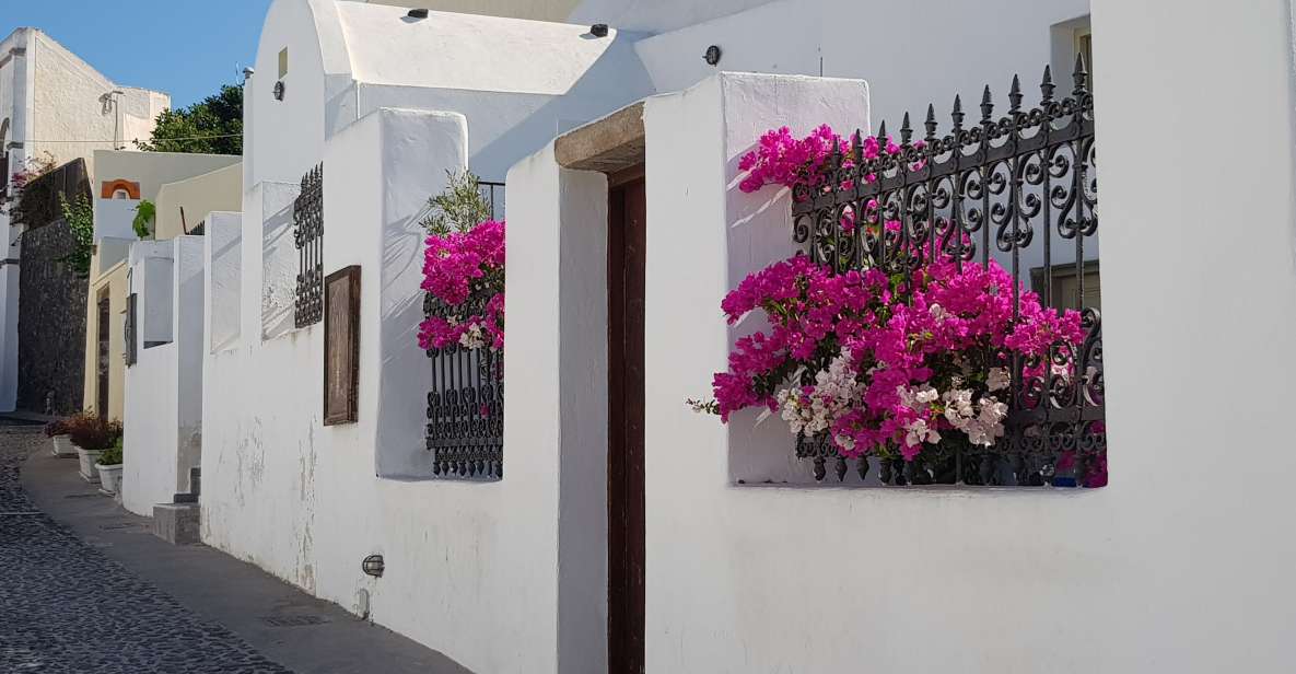 Santorini: Megalochori and Oia Guided Tour With Wine Tasting - Common questions