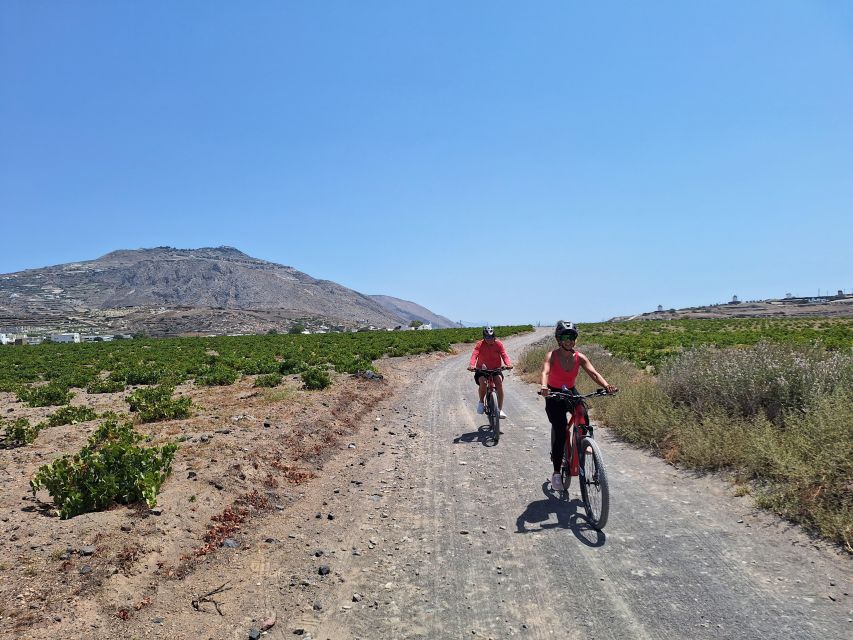 Santorini: Wine Country E-Bike Tour - Common questions