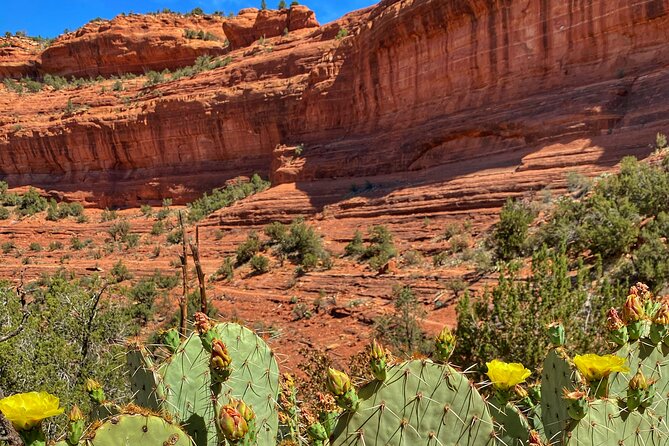 Sedona Sacred Canyons Loop Hike With a Private Guide - Last Words