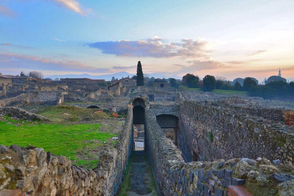 Shared Group: Pompeii Tour and Wine Tasting - Accessibility and Group Type