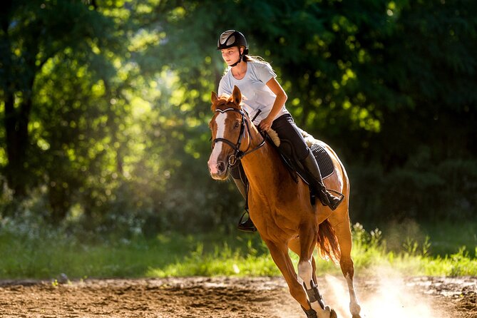 Side Horse Riding On Beach And Through The Forests For 2 Hours - Last Words