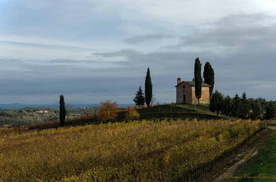 Siena: E-Bike Tour in the Chianti Senese With Lunch - Last Words