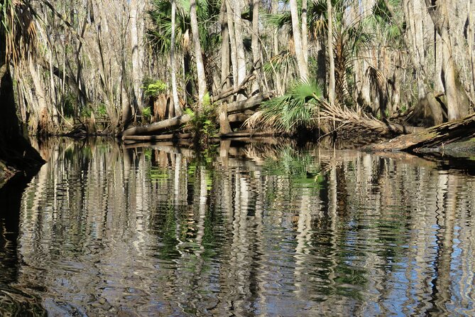 Small Group Blackwater Creek Scenic River Kayak Tour With Lunch - Common questions