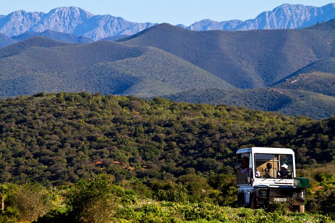 South African Bush Safari in Oudtshoorn  - Western Cape - Common questions