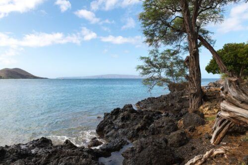 South Maui: Beach Parks Self-Guided Driving Tour - Booking Information