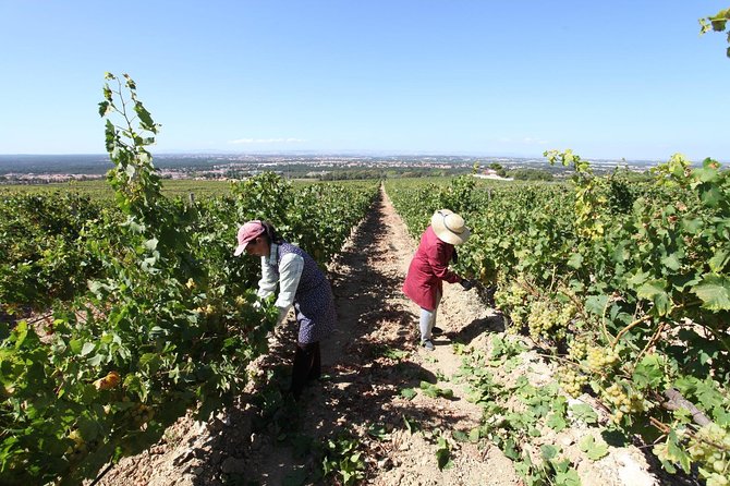 South Portugal Wine Route Private Full Day Tour From Lisbon - Booking and Cancellation Policies