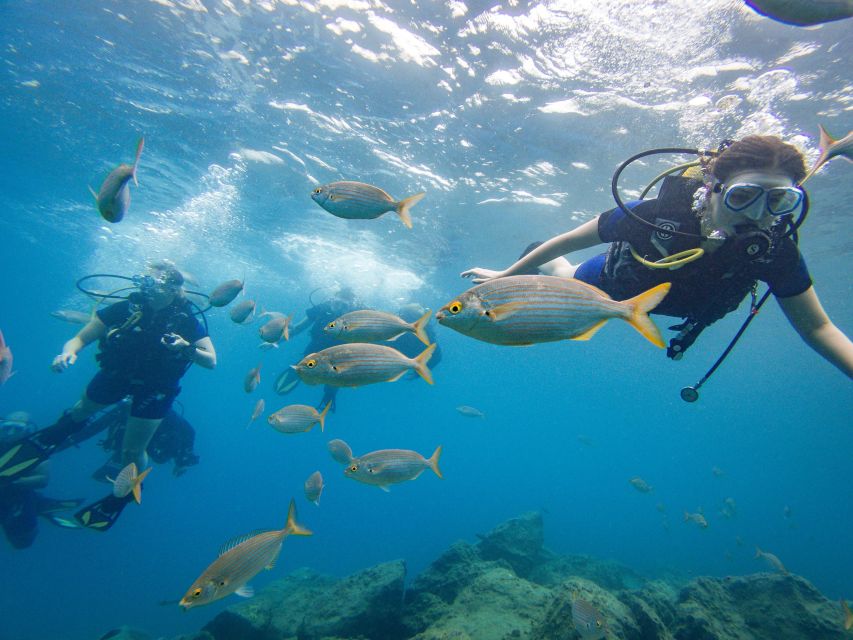 South Tenerife: Beginners Scuba Diving Experience - Safety Guidelines