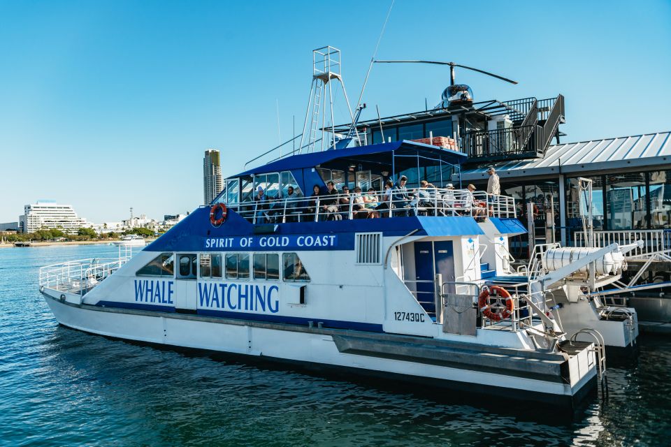Spirit of Gold Coast 2.5-Hour Whale Watching Tour - Departure Point