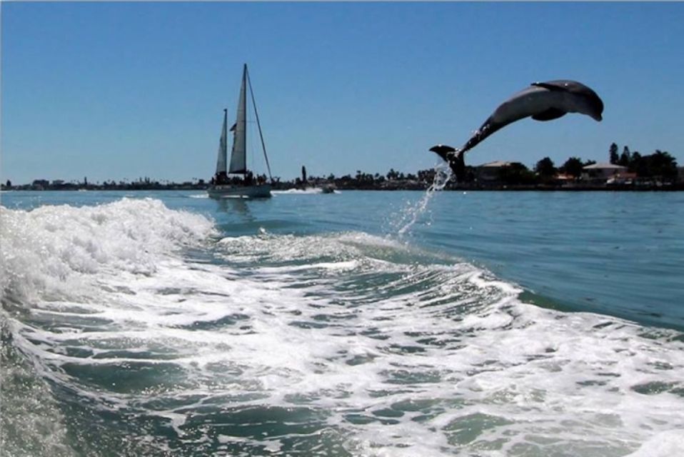 St. Pete Beach: Dolphin Racer Cruise by Speedboat - Tips for the Cruise