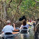8 st petersburg shell key nature preserve clear kayak tour St Petersburg: Shell Key Nature Preserve Clear Kayak Tour