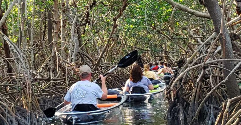 St Petersburg: Shell Key Nature Preserve Clear Kayak Tour
