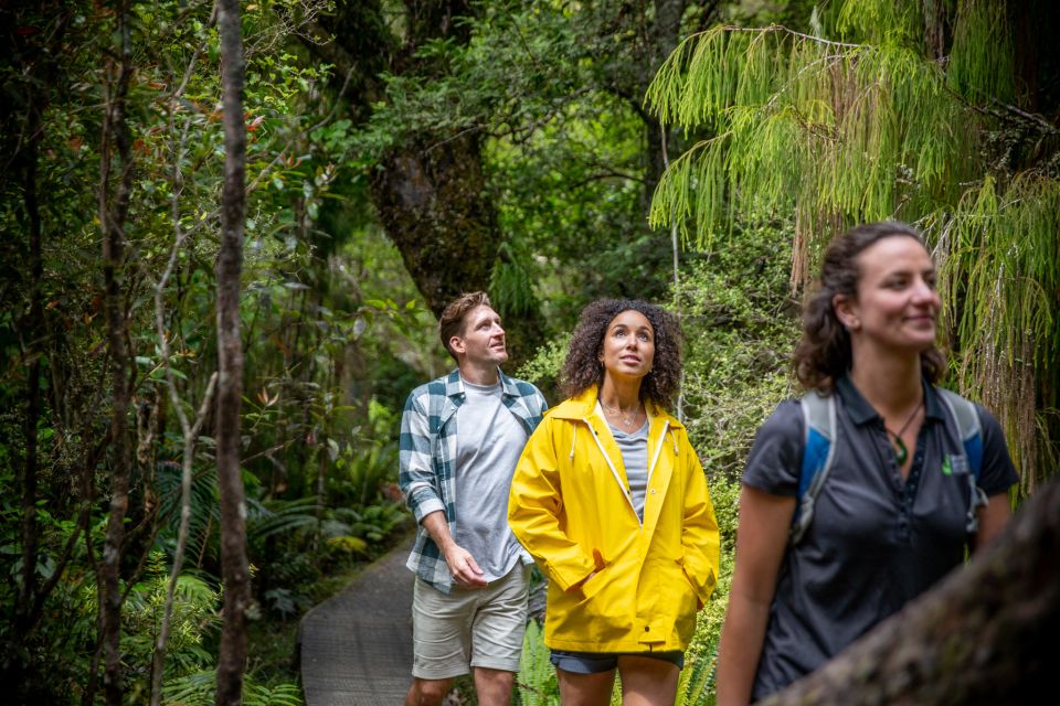 Stewart Island: Ulva Island Guided Wilderness Walk & Cruise - Last Words