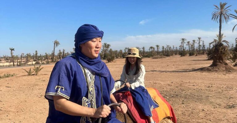 Sunset Camel Ride in Desert & Palm Grove With Tea & Transfer