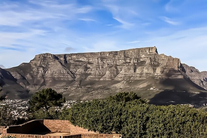 Table Mountain, Cape Point, Penguins & Boulders Beach - Itinerary and Stops