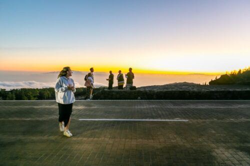 Tenerife: Teide National Park Night Sky Star Safari & Dinner - Location & Meeting Point