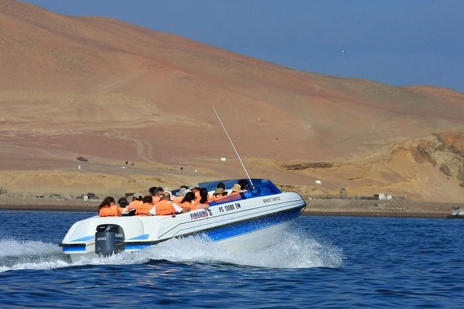 The Ballestas Islands Tour & Paracas National Reserve - From Lima - Last Words