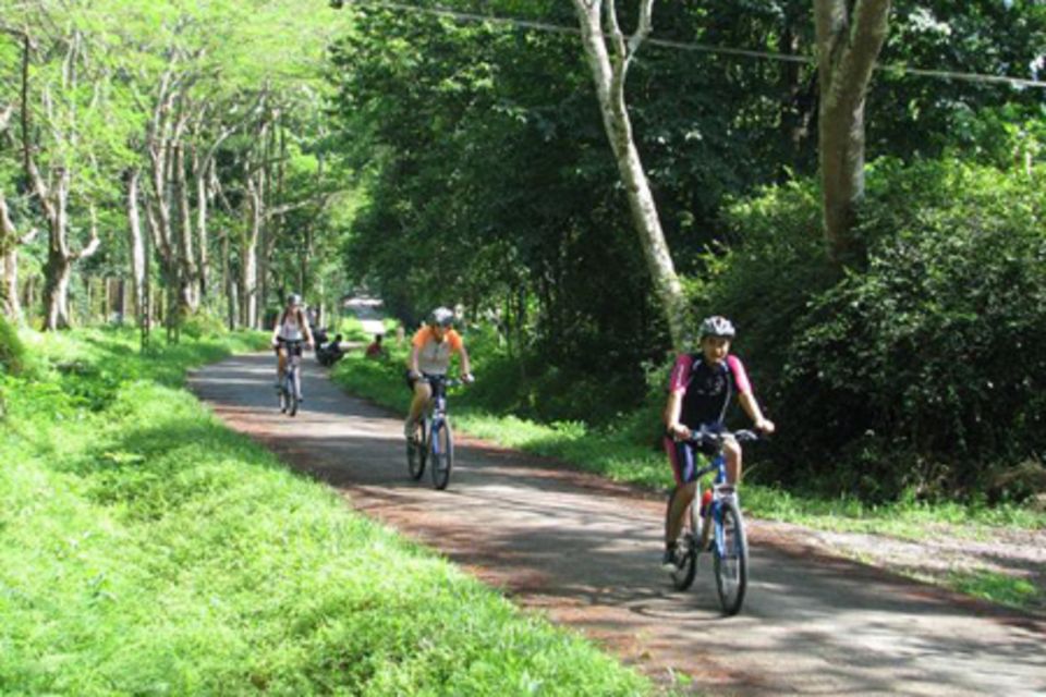 The Best Easy Trek Cuc Phuong National Park - Common questions