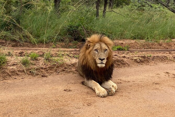 The Kruger National Park - Full Day Tour - Last Words