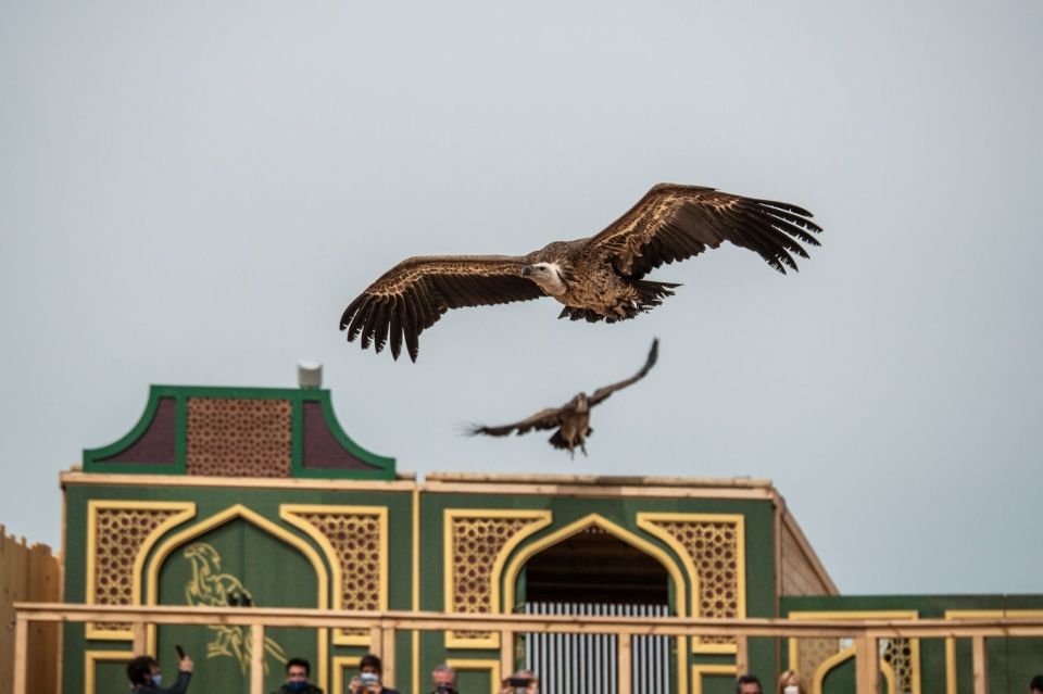 Toledo: Puy Du Fou España Entry Ticket - Last Words