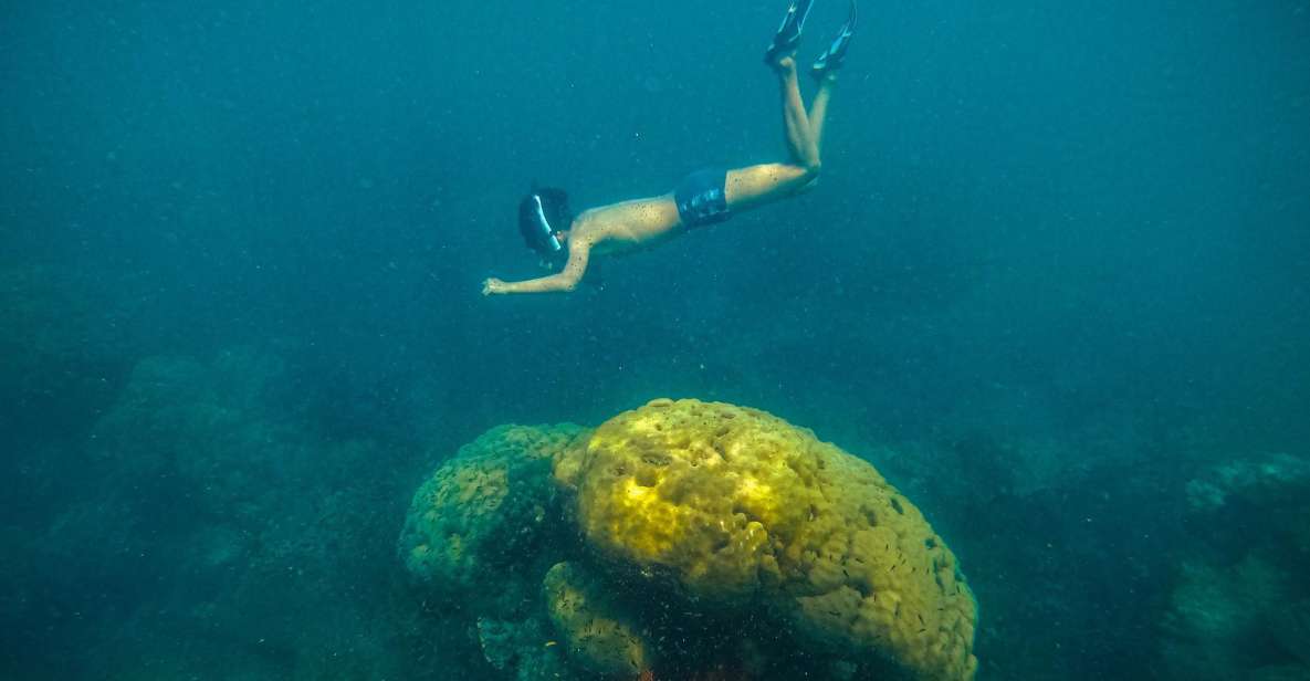 Tour Freediving Phu Quoc: Fascinating Free-Diving Moments - Common questions