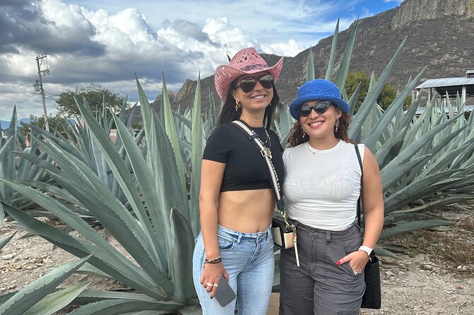 Tour to Hierve El Agua and Mezcal Distillery (Small Groups) - Last Words