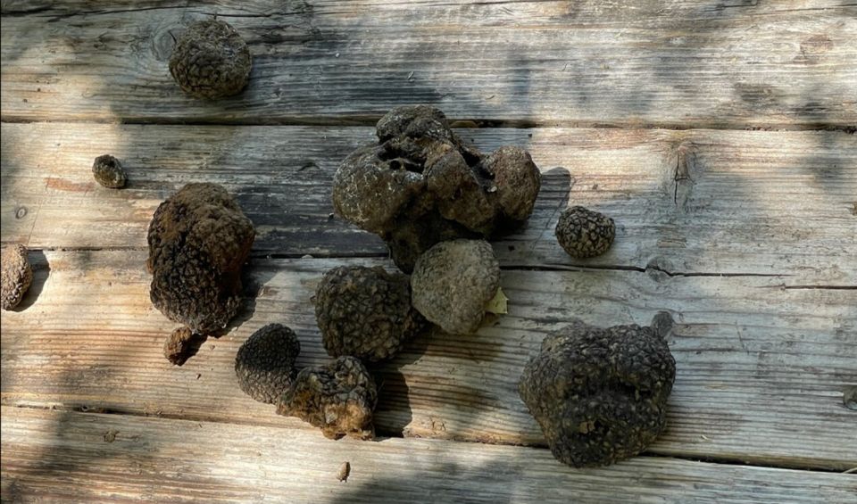 Truffle Hunting, Culinary & Wine Celebration From Heraklion - Common questions