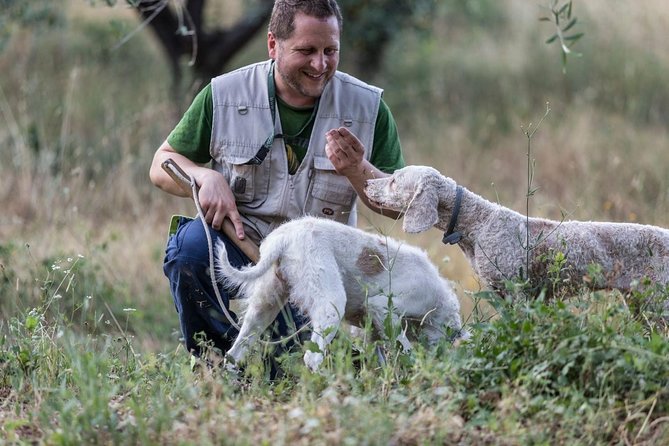 Truffle Hunting - Last Words