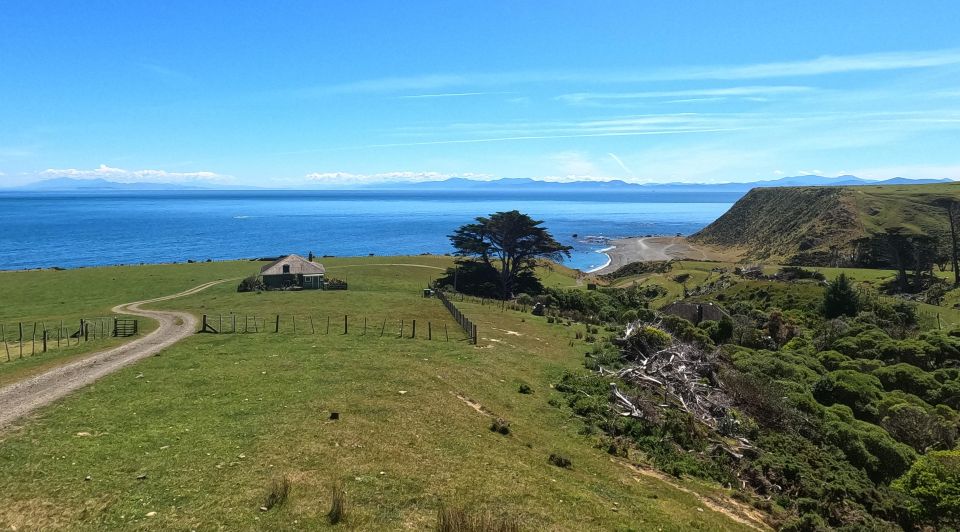 Wellington: Half Day Seal Coast Safari - Common questions