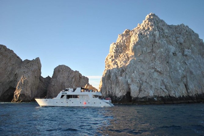 Whale Watching Cruise in Los Cabos - Common questions