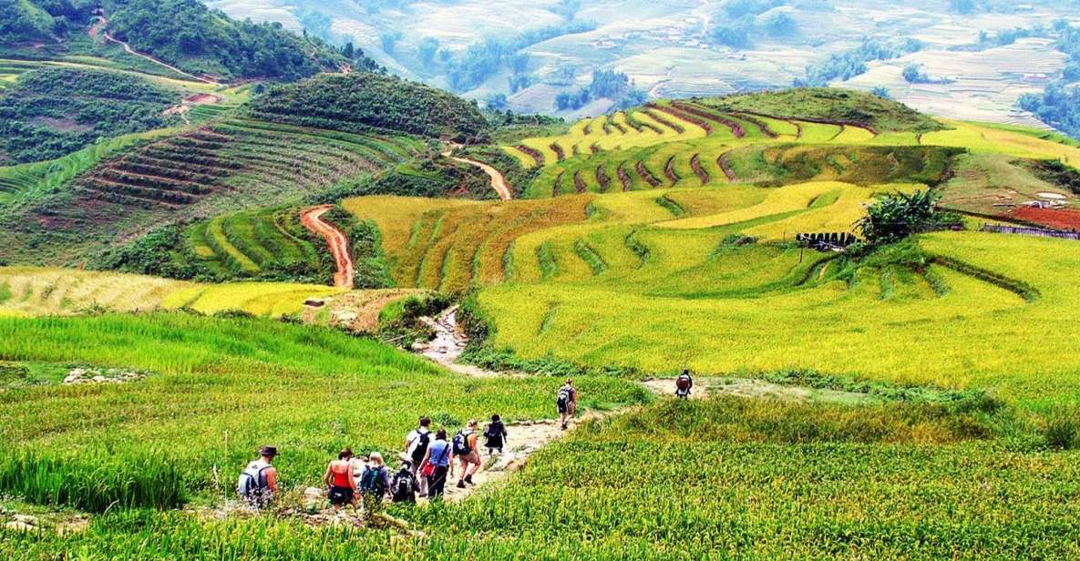 2-Day Trekking Tour in Sa Pa With Local Stay & VIP Cabin Bus - Traveler Feedback