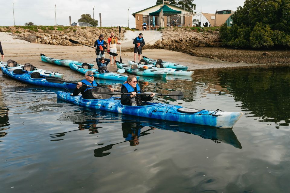 Adelaide: Dolphin Sanctuary Eco Kayaking Tour - Last Words