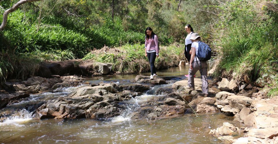 Adelaide: Morialta Wilderness and Wildlife Hike - Last Words