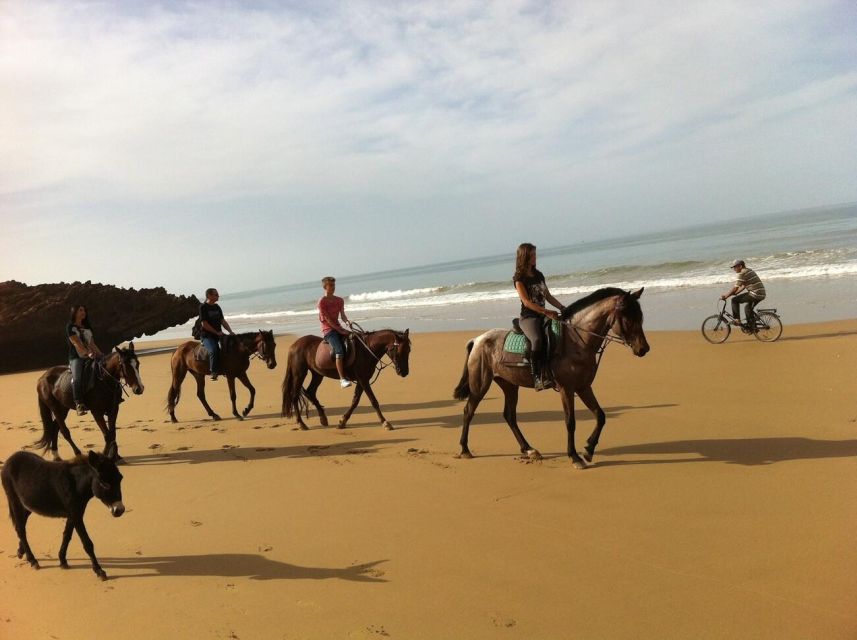 Agadir and Taghazout: 2-Hour Sunset Beach Horseback Ride - Last Words