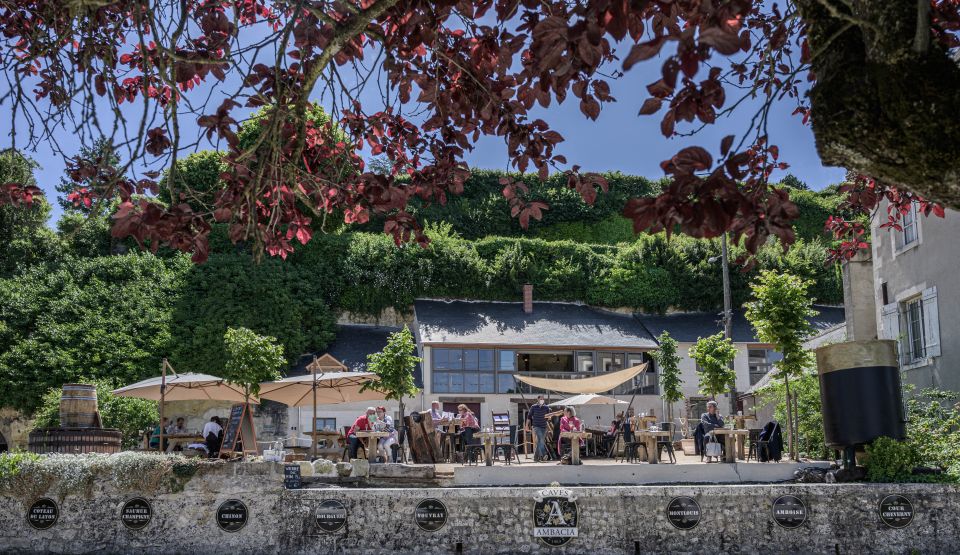 Amboise: Caves Ambacia Visit and Wine Tasting - Last Words