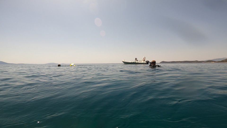 Athens: Adventure Dives in Nea Makri for Certified Divers - Last Words