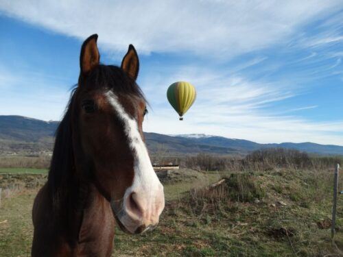 Barcelona: Hot Air Balloon Ride - Last Words