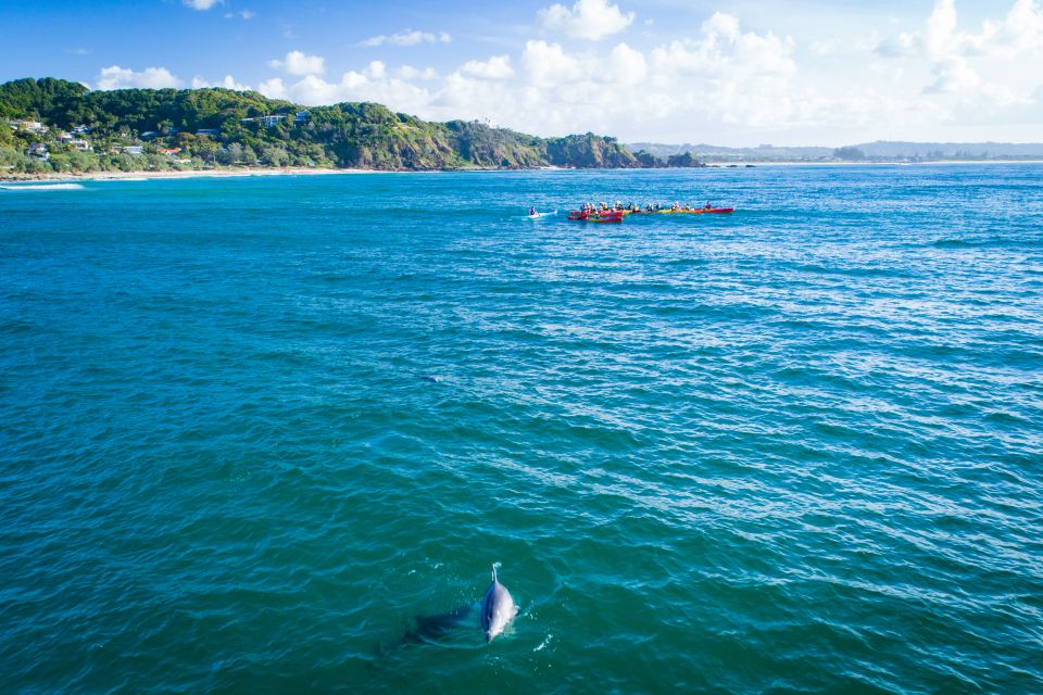 Byron Bay: Sea Kayak Tour With Dolphins and Turtles - Last Words