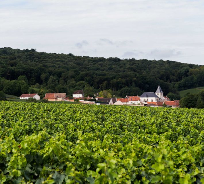 Champagne: Canard-Duchêne Champagne House Tour - Common questions
