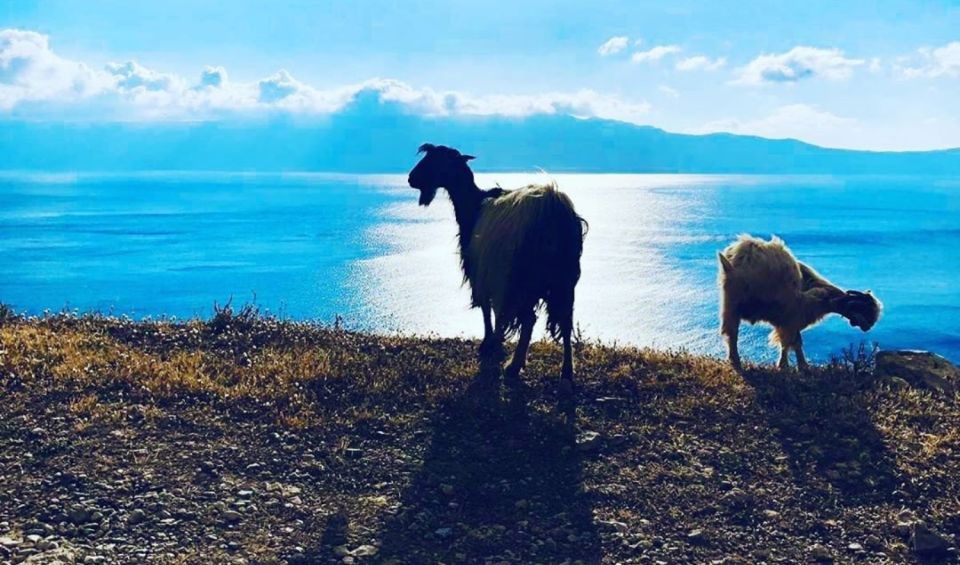 Chania Luxury Jeep Safaris: Balos Beach. A Lagoon For Bliss. - Last Words