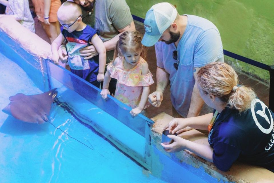 Clearwater: Eco-Certified Marine Aquarium General Admission - Last Words