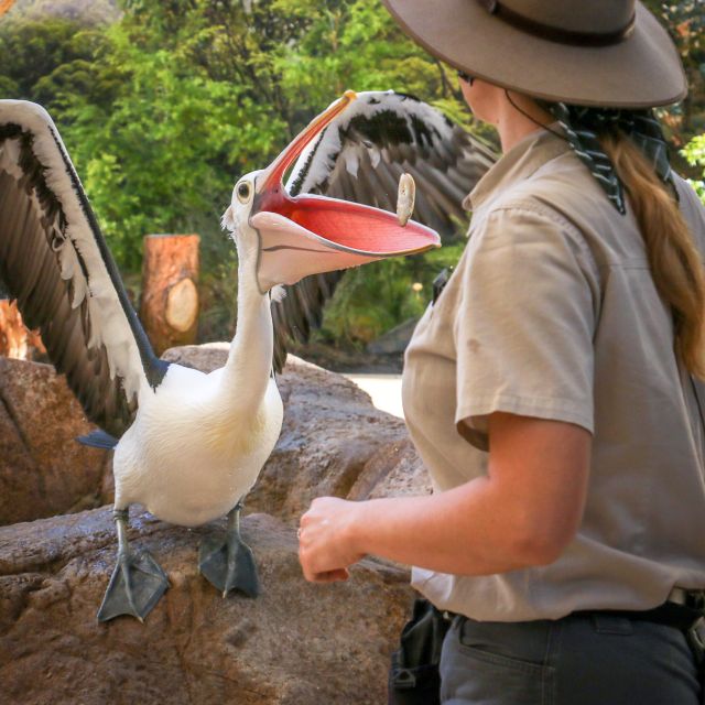 Currumbin Wildlife Sanctuary Ticket - Common questions