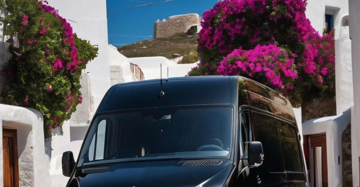 Disposal Service Mykonos: Full Day Private Driver- Minibus - Last Words