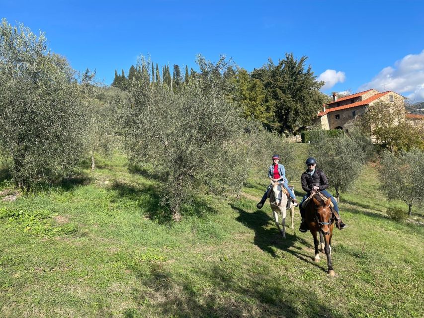 Florence: Private Horseback Tour With Wine Tasting and Lunch - Common questions